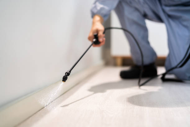Licensed Pest Control service in East Baton Rouge Parish County, LA - Nex Pest Control