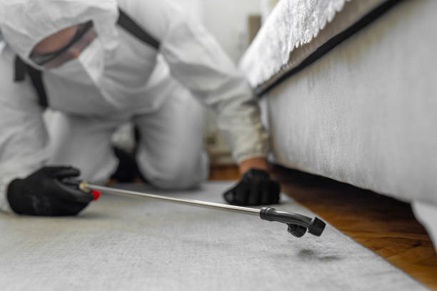 Professional Pest Control technician working in East Baton Rouge Parish County, LA